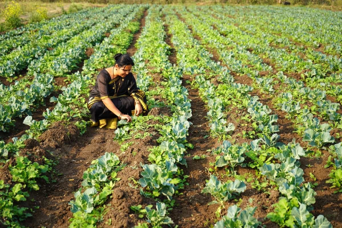 Agriculture and Organic Farming
