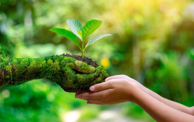 Environment and Sustainability